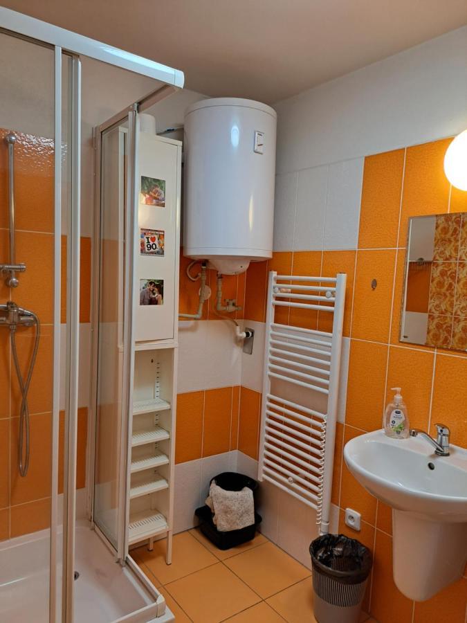 Apartman Max Lipno Lipno nad Vltavou Eksteriør bilde